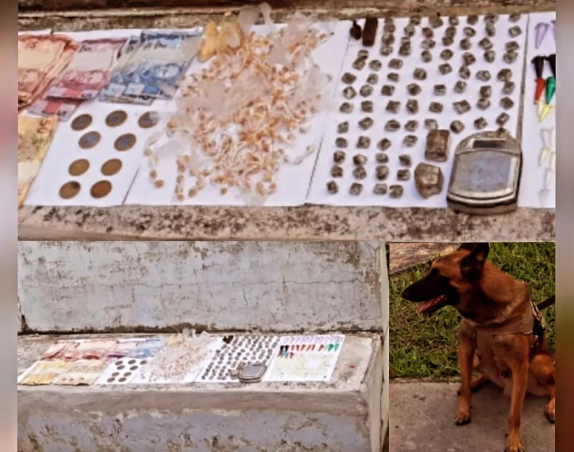 Cães do 8° BPM auxiliam na apreensão de drogas em Santa Cruz Cabrália