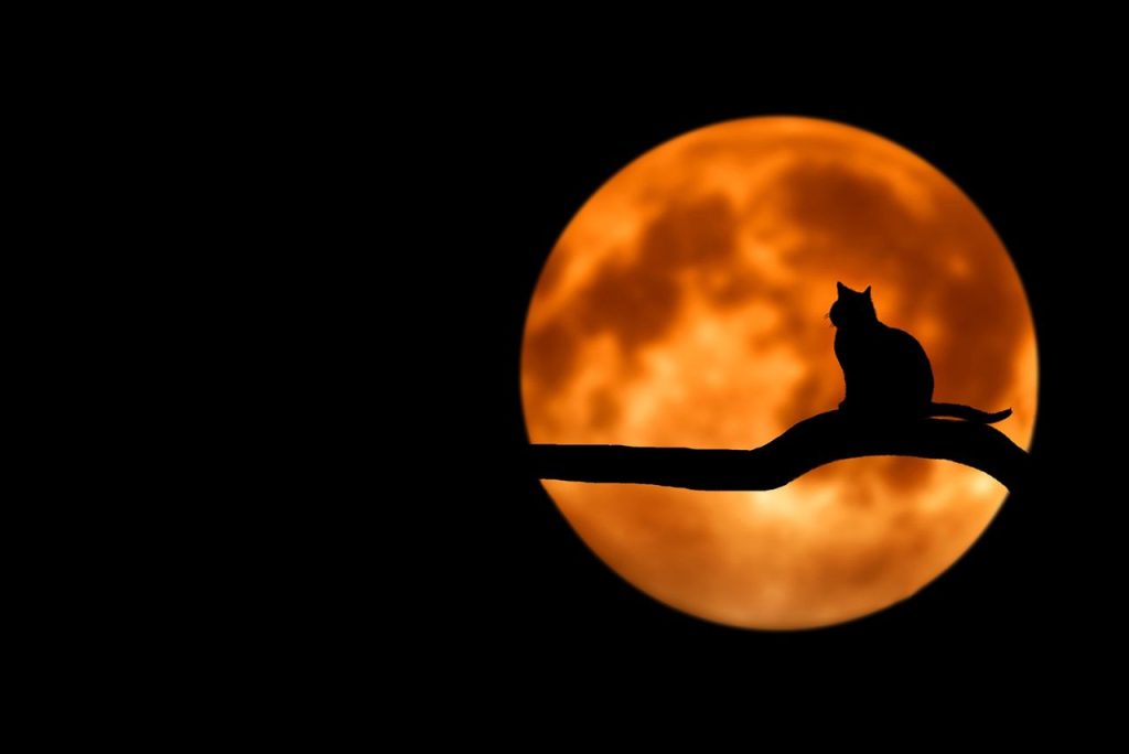 Dia das Bruxas: a verdadeira origem entre mito e fé A lua cheia ilumina o Dia das Bruxas